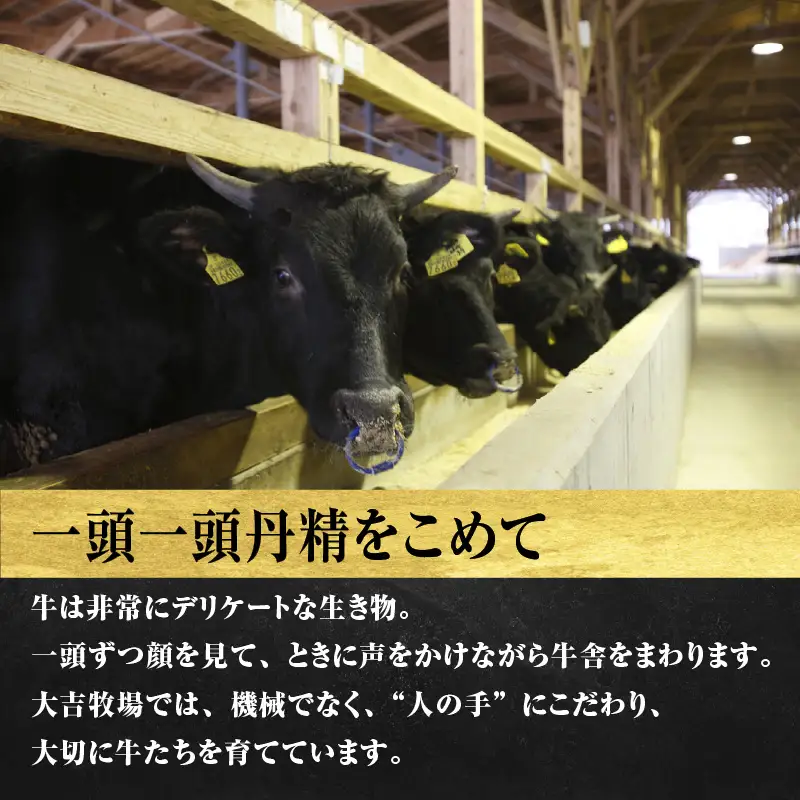 近江牛 定期便 3回 食べ尽くしCコース