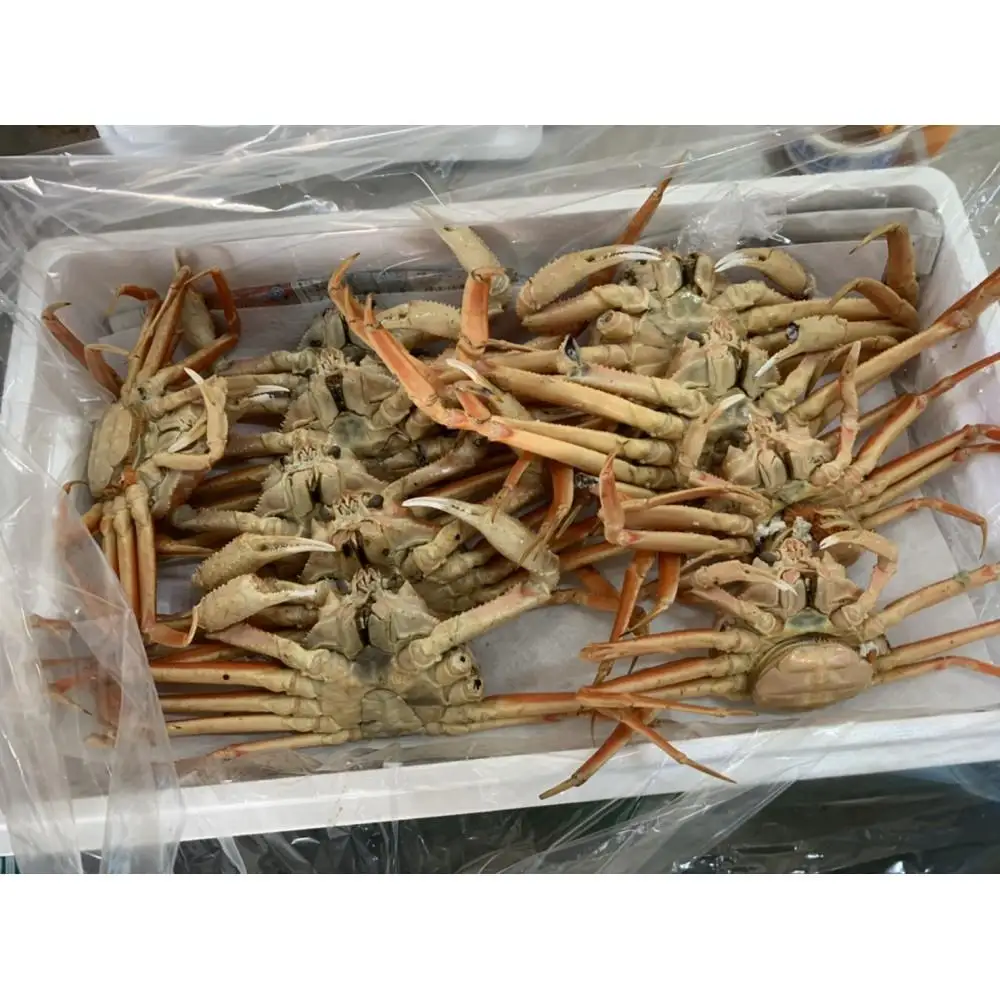 【魚倉】活お任せセコガニ1kgセット