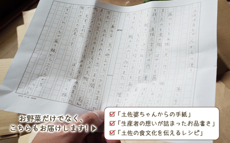 定期便2回コース 高知県香南市産 旬のお野菜詰合せ(10～13品目)【野菜 野菜詰め合わせ 野菜セット 野菜定期便 土佐野菜 野菜】 Wpr-0018
