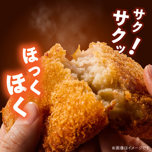 ＜便利な個包装＞チキンコロッケ70g×10個 N124-YA196