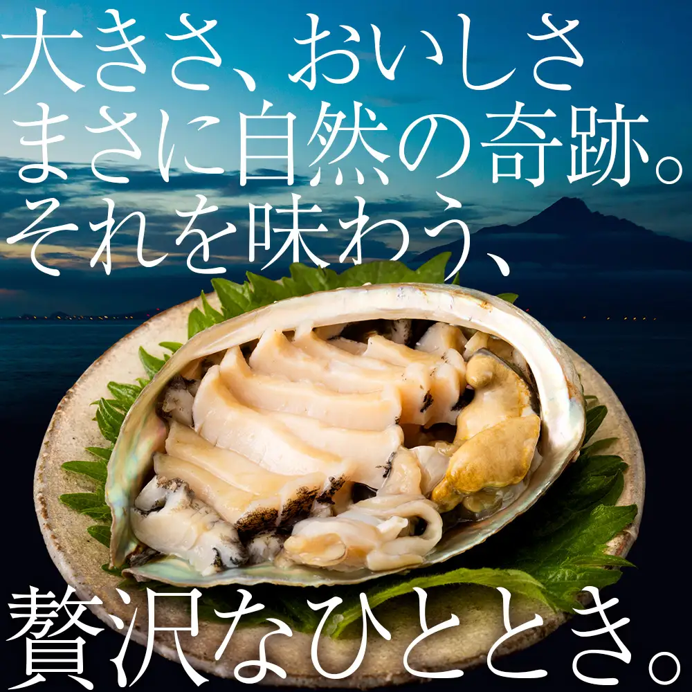 【2025年1月以降発送】北海道 利尻島産 ☆天然蝦夷あわび 特大☆　5個