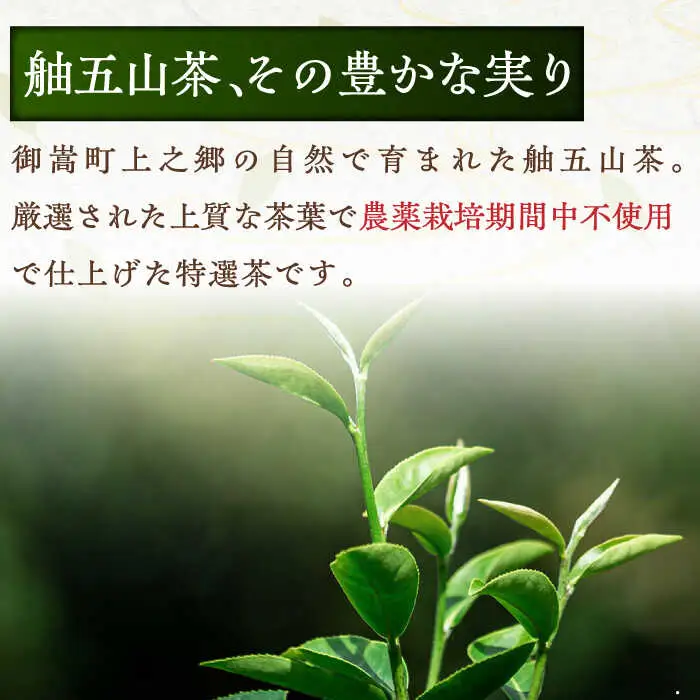 舳五山茶　特選500ｇ / 緑茶 茶葉 茶ば お茶 茶摘み / 御嵩町 / 舳五山茶園委員会[AVAD001]