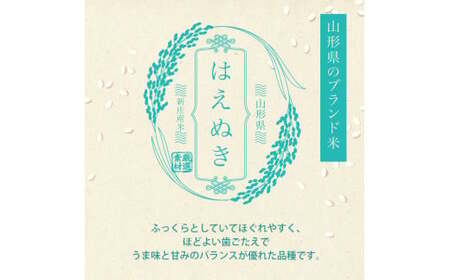 令和7年産 ＜定期便 6回＞ 山形県産 はえぬき 精米 10kg （5kg×2）【最上ノ米蔵】 F3S-2489