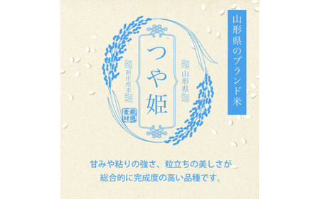 ＜定期便 3回＞ 令和7年産 つや姫 5kg×2 計10kg 精米 【最上ノ米蔵】 山形県産 こめ お米 米 白米 F3S-2565