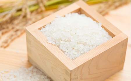 お米マイスター厳選 新庄産米「雪若丸」（精米）6kg 2kg×3袋 米 お米 おこめ 山形県 新庄市 F3S-2341