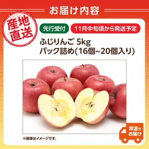  ≪先行受付≫ふじりんご 5kg パック詰め（特秀）【2026年11月中旬～順次発送予定】 057-001