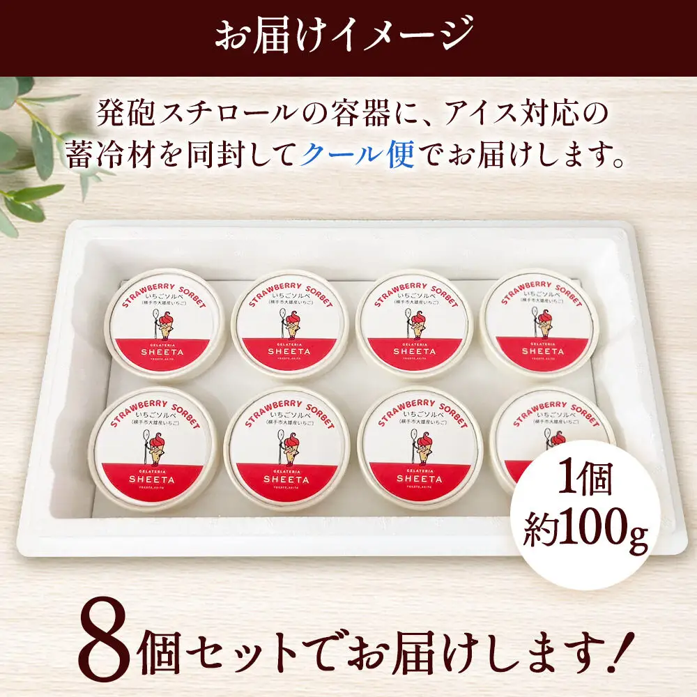 ジェラート いちごソルベ 約100g×8個