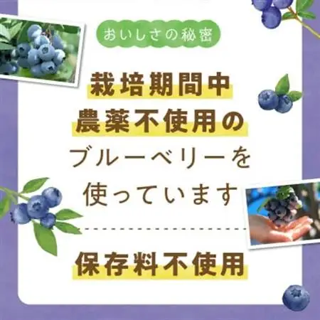 ブルーベリージャム 250g×4個【1186202】