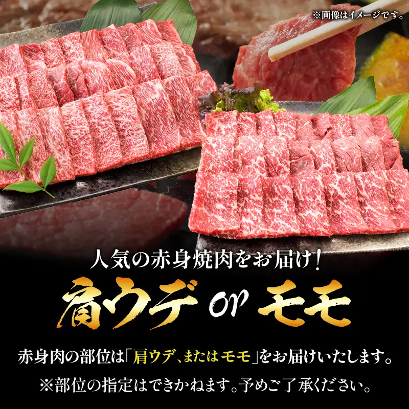 【10月配送】【畜産農家応援】数量限定 厳選 宮崎牛 赤身 焼肉 計800g 牛肉 国産_C168-26-10