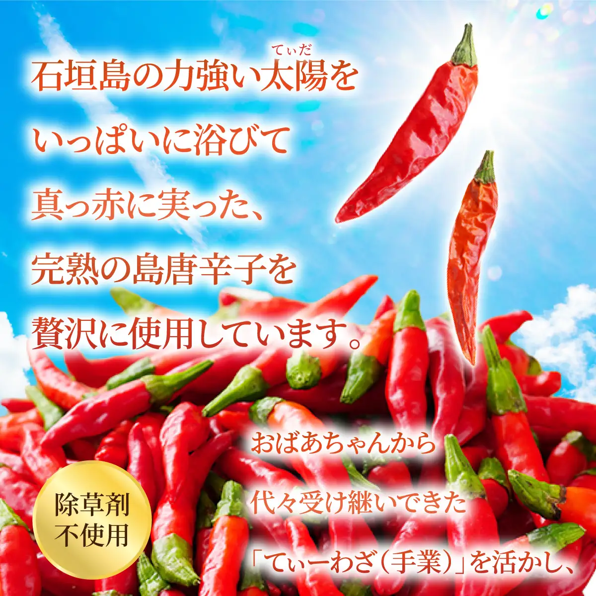 おばあちゃんの”てぃだくーす” (ねりタイプ) 完熟、泡盛仕立て 調味料　YZ-2