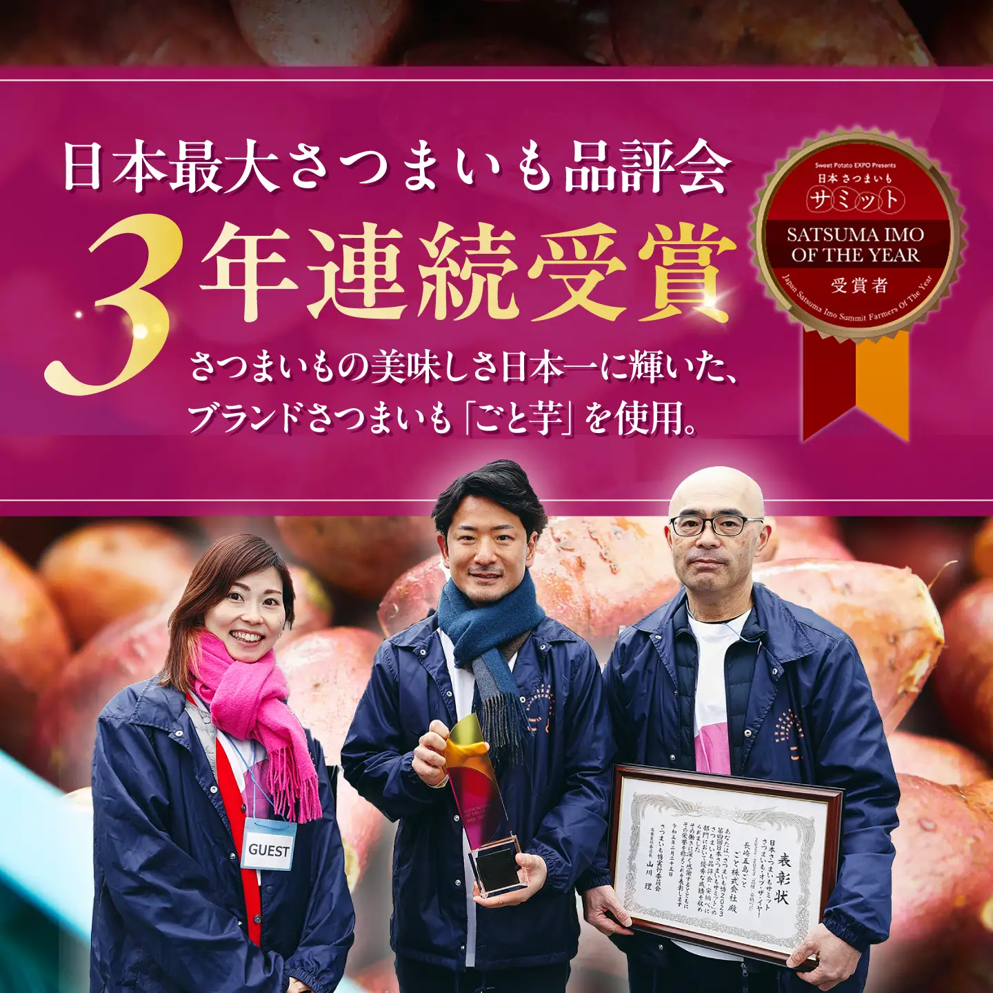 ごと芋チーズケーキ 五島市/ごと[PBY055] ケーキ スイーツ デザート おやつ