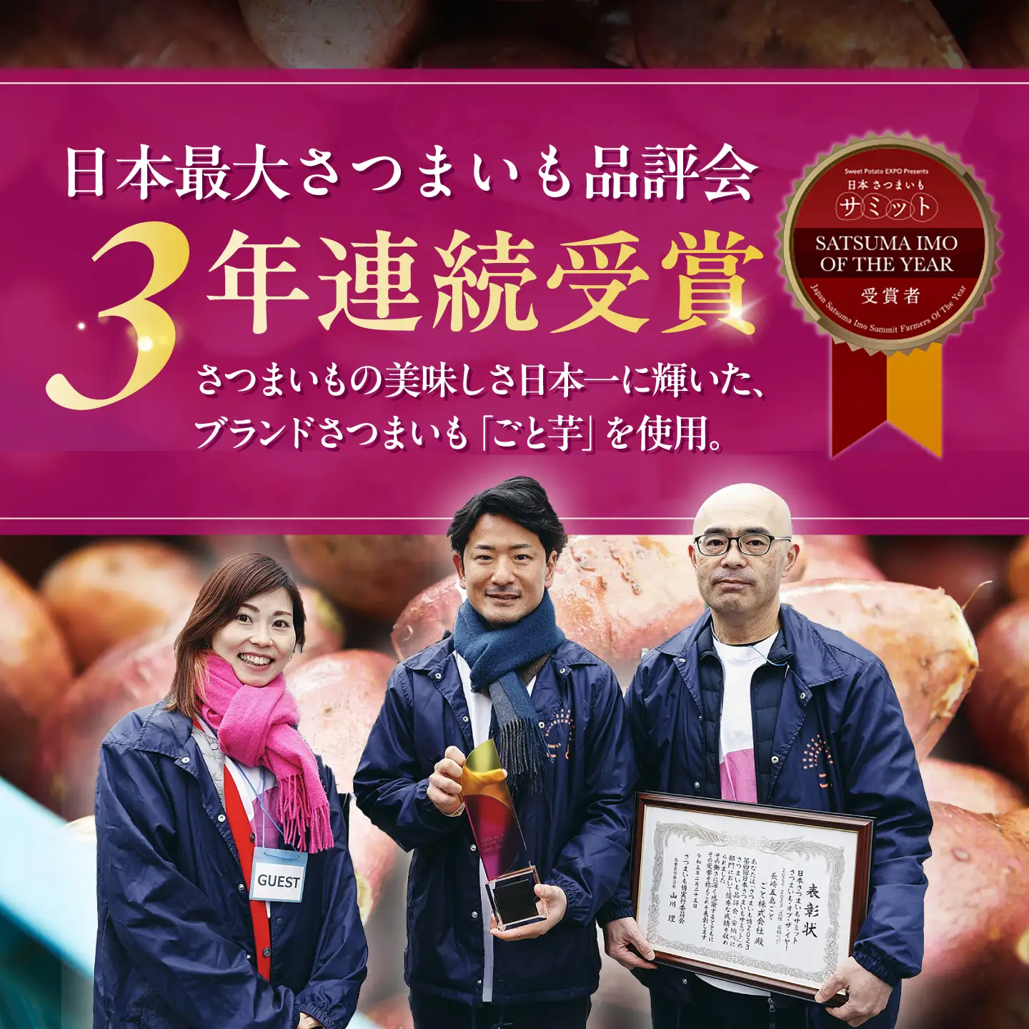 ごと芋チーズケーキ 2個 五島市/ごと[PBY056] セット ケーキ スイーツ デザート おやつ