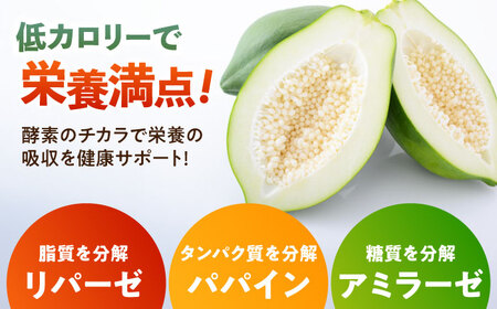 【訳あり】青パパイヤ[AFBK002]野菜 パパイヤ
