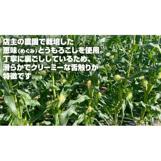 嬬恋産 めぐみ コーンスープ 150g × 5袋 とうもろこし コーンスープ スープ めぐみとうもろこし レンチン レンジ 嬬恋村 レトルト [AE007tu]