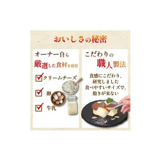 半熟ぷちチーズケーキ 10個 MNB146