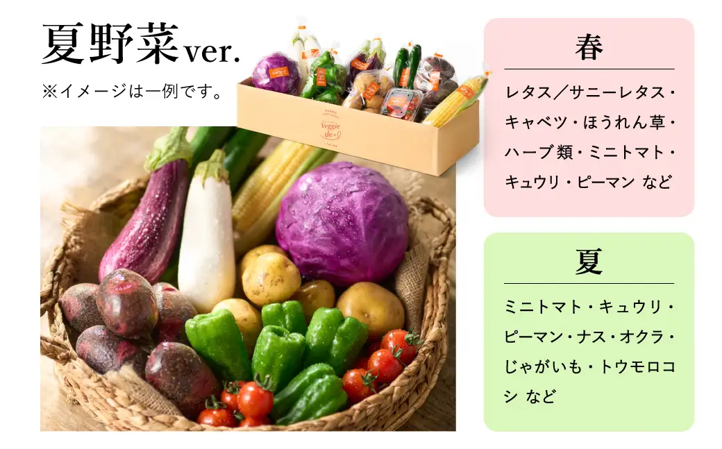 ベジプラ特選 旬の野菜セット Veggie de＋