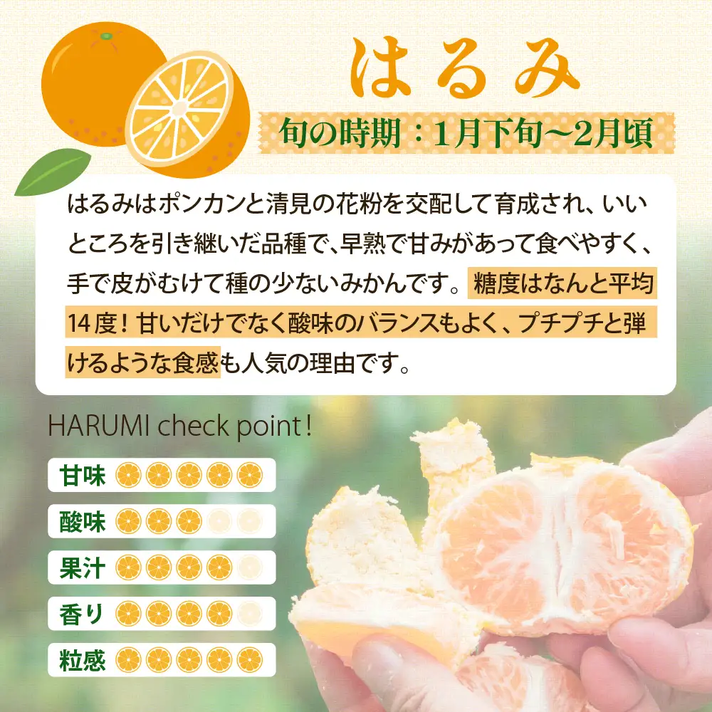 【先行受付】【2027年1月下旬～発送】倉橋ミカン食べてクレ園 はるみ 約5kg 柑橘 産地直送 広島県 呉市 倉橋島 ku154-005-26