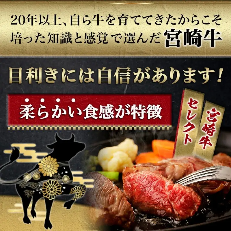 宮崎牛【赤身霜降り】ロースステーキ200g〔13-6501〕_(都城市) 牛肉 牛ロースステーキ用カット 200g×1枚 ステーキソース付き 牛赤身 霜降り肉 A4ランク以上 4等級以上 ギフト 贈答用