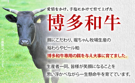 もつ鍋 セット 3~4人前 福岡県産 博多和牛 和牛 もつ鍋セット 鍋 醤油 醤油味 国産牛小腸 国産もつ モツ 鍋 お土産 美味しい 福岡県 福岡 九州 グルメ お取り寄せ