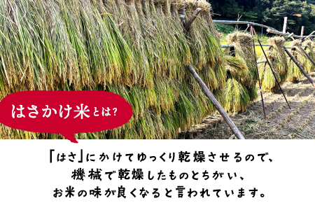 【令和6年度産新米5kg(天日乾燥)】と、やまあいピクルス【定番ピクルス３本セット】【YP-6】｜送料無料 ピクルス ぴくるす 米 新米 お米 野菜 やさい ごぼう きゅうり 生姜 ミニトマト うずら卵 カレー味 常温保存 詰め合わせ セット 贈物 プレゼント｜