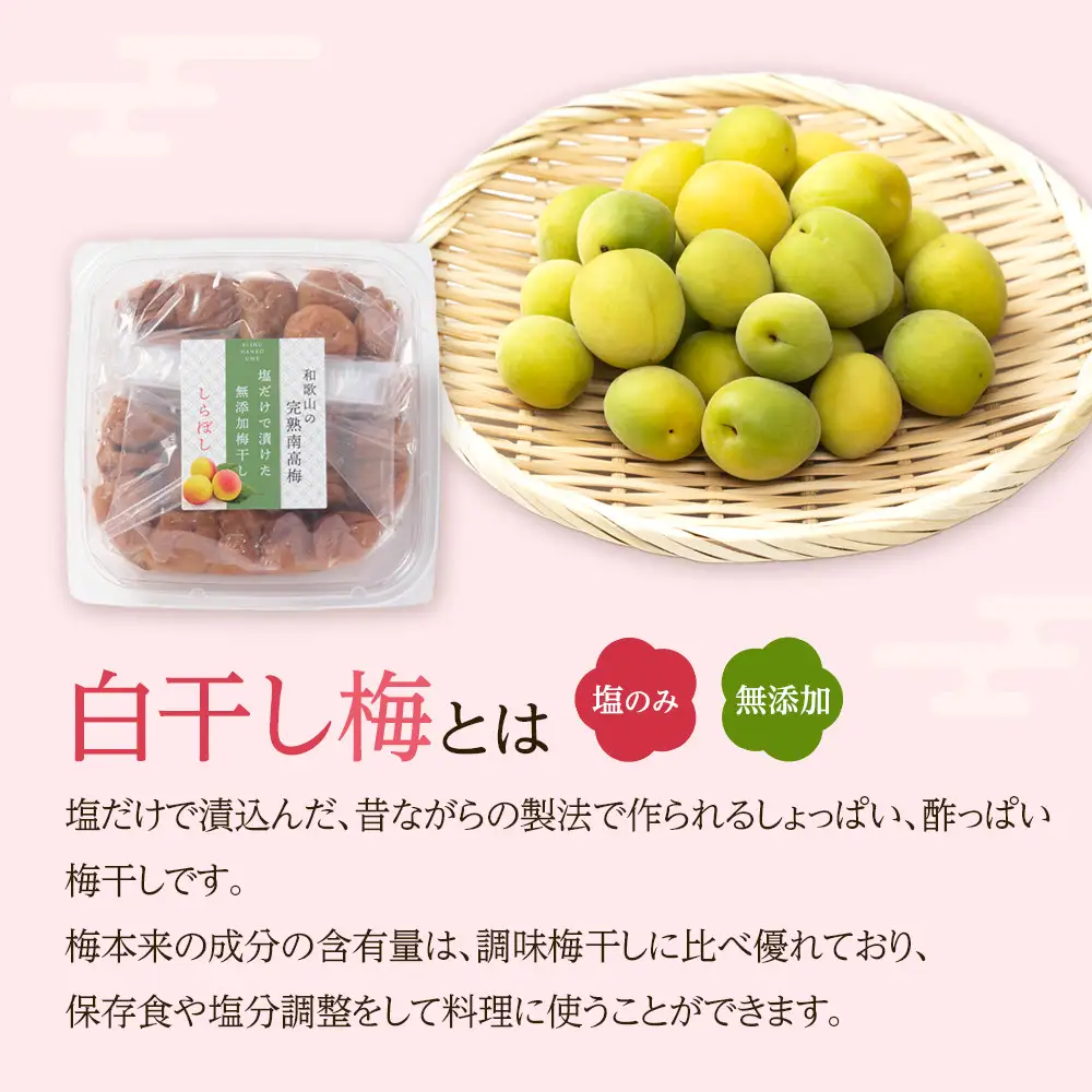 訳あり 梅干し 大粒 大玉 つぶれ梅 しそ梅 約1kg (500g×2) 塩分10%