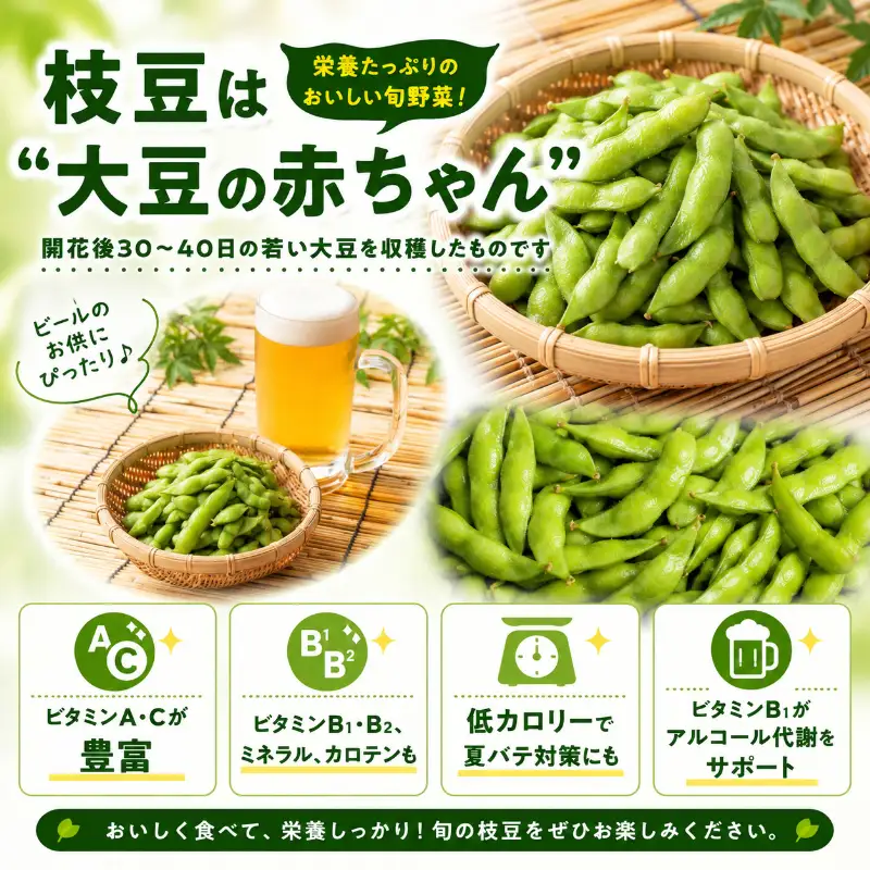 【9月末～発送開始】枝豆 1kg 朝採り新潟県黒埼産 枝豆