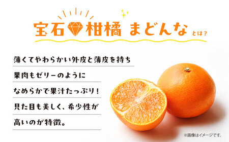 まどんな 100%ストレートジュース（720ml×12本）みかんジュース まどんな /峯田農園 [AGBT016]