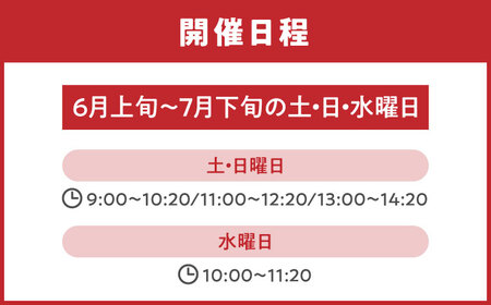 ブルーベリー狩り 80分食べ放題 大人1名様 ブルーベリー 体験チケット[AEBZ007]