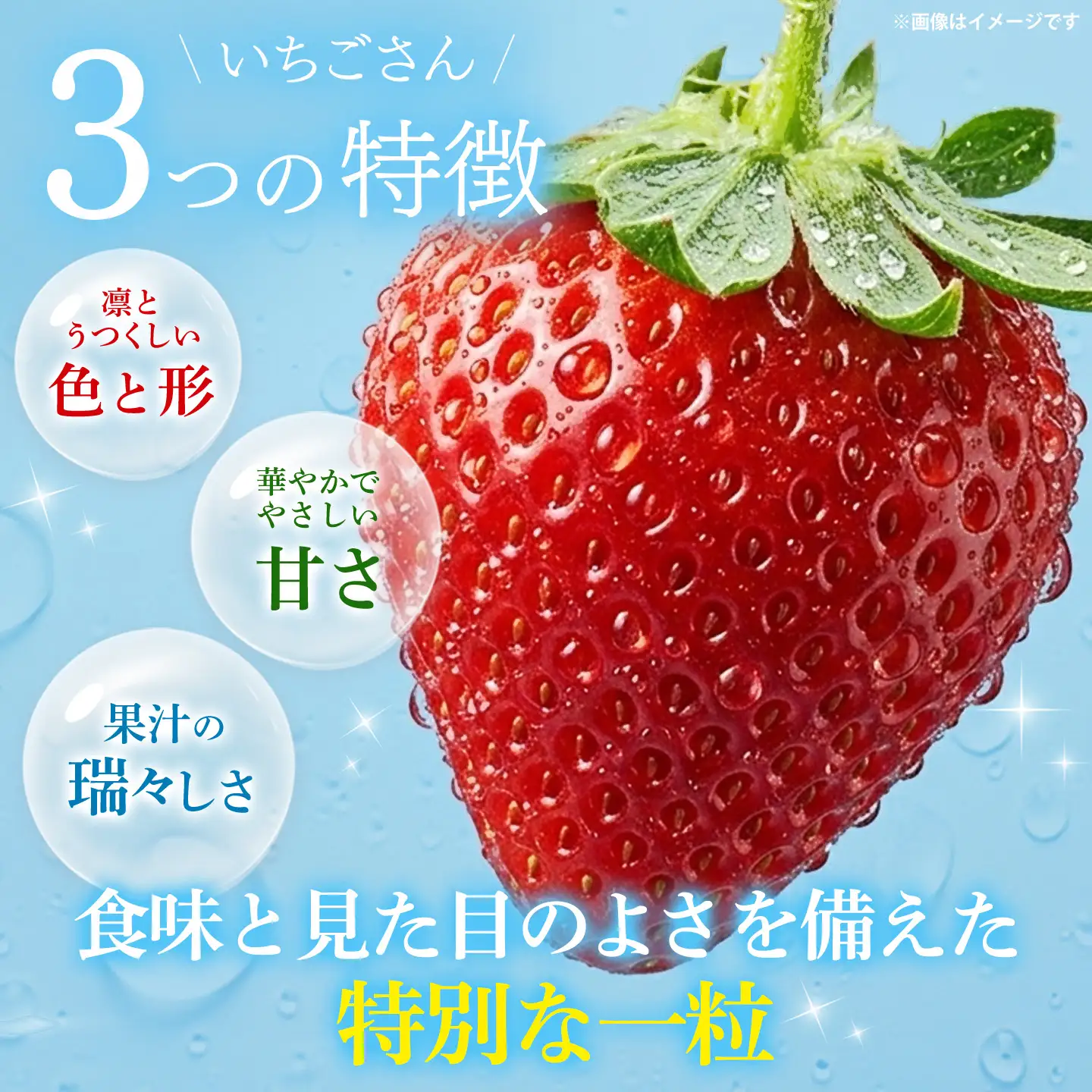 【2027年1月中旬より発送開始】苺(さがほのか・いちごさん)各2パック(H116136)