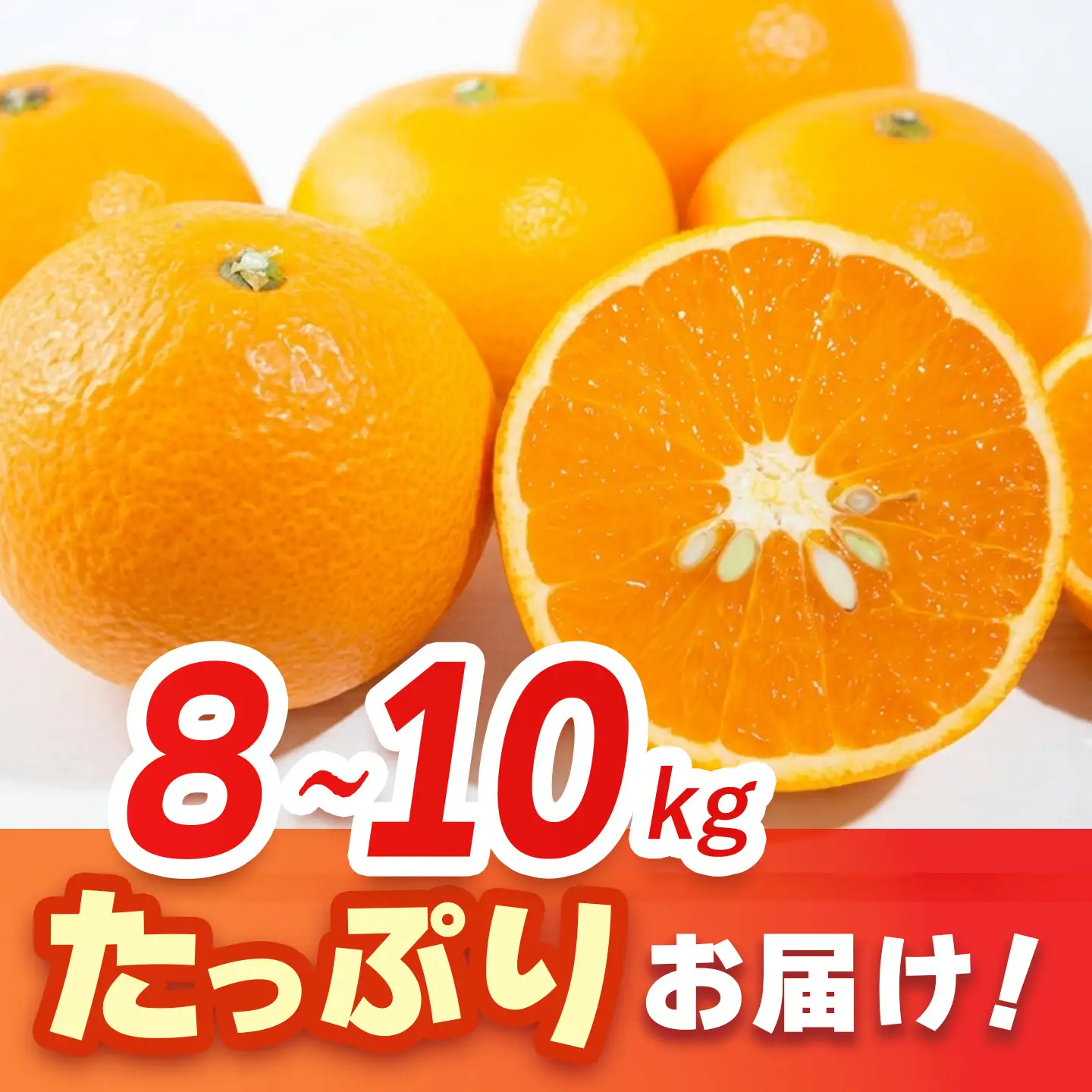 【2027年3月中旬より発送開始】清見(きよみ)みかん 8kg～10kg(H116139)