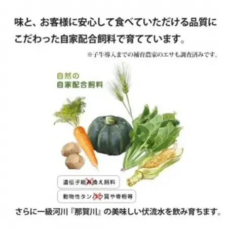 【ステーキギフト600g】サーロインステーキ3枚　阿波牛高級黒毛和牛ふじおか牧場から直送でお届け!_肉 ステーキ 牛肉 ビーフステーキ_【配送不可地域：離島】【1528707】