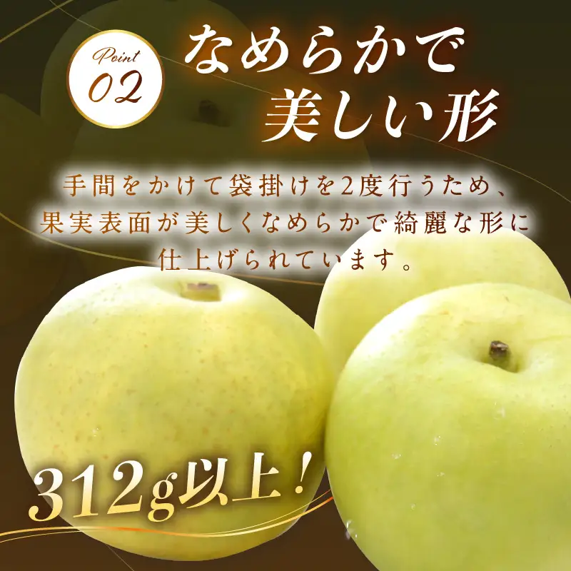 【先行予約／数量限定100】京のブランド産品・京たんご梨（20世紀梨） 5kg（2026年9月上旬～発送）