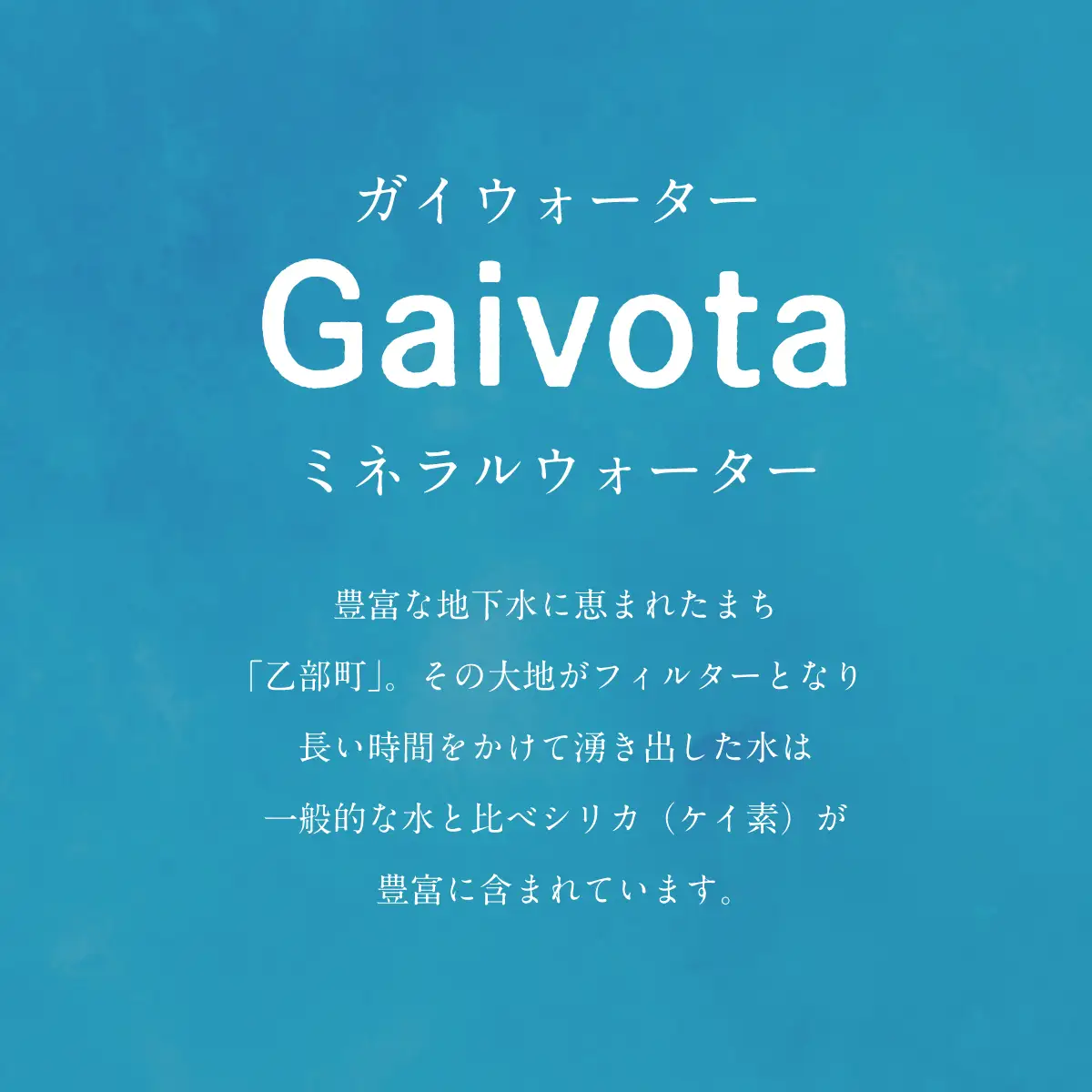 まろやか軟水 贅沢シリカ水を定期便で【Gaivota（ガイヴォータ）定期便：2箱(500ml×48本)×6回】＜ 北のハイグレード食品 天然シリカ水 ミネラルウォーター 軟水 北海道産 北海道 乙部町 天然水 美容 ケイ素 無添加 シリカ ガイヴォータ 美肌 ミネラル 口当たり まろやか 備蓄 災害用 非常用 リピーター 6か月 備蓄 災害用 非常用 サブスク ＞