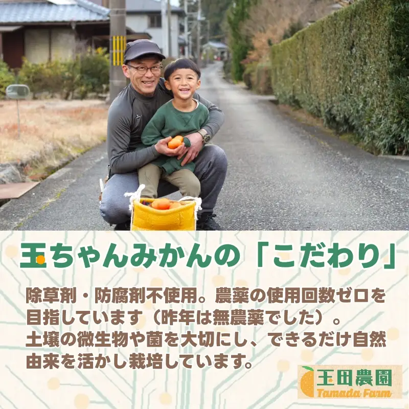 有田 みかん 旨時 体に優しい玉ちゃんみかん 5kg / 温州みかん 有田みかん 甘い 和歌山 柑橘 ※2026年12月初旬～2027年2月中旬に順次発送【tmd004-cu-5A】