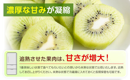キウイフルーツ 2.5kg ゆいやわす《11月上旬-4月末頃出荷》