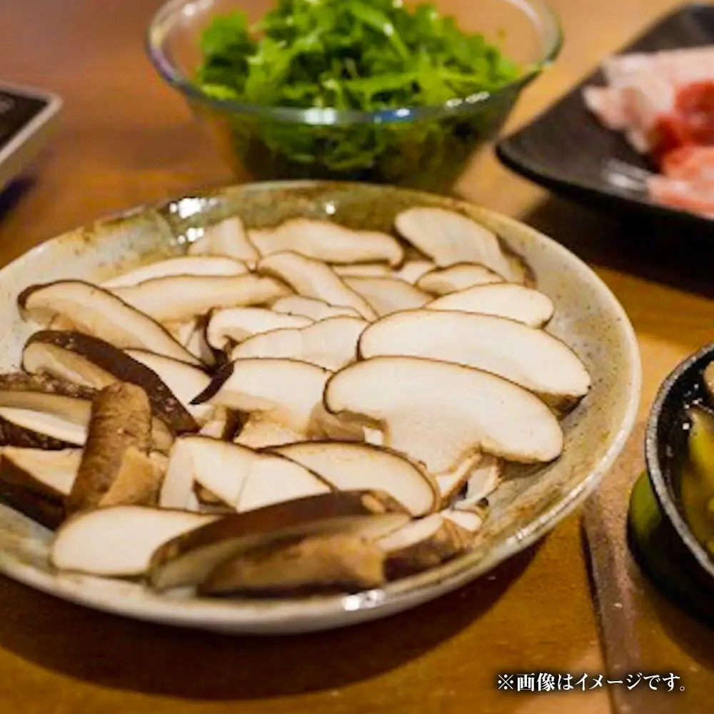 【訳あり】原木 生しいたけ 約2kg | 合同会社カルシ [BNAU006]