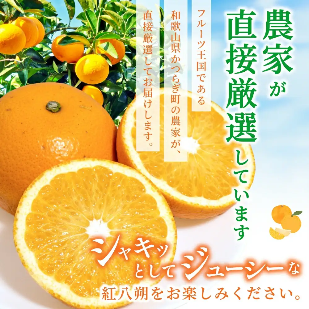 【先行予約】あふれる果汁！ 希少な紅はっさく 秀品 5kg L～２L ※2027年2月～2027年3月中旬頃に順次発送予定（お届け日指定不可）/ ハッサク 八朔 紅八朔 紅はっさく フルーツ 柑橘 蜜柑 果物 くだもの【kgr006A】