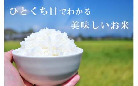 ぎおん米コシヒカリ 30kg [先行予約] 株式会社TKS 滋賀県 東近江市 G-G02 米 白米 こしひかり 30キロ お取り寄せ 産地直送