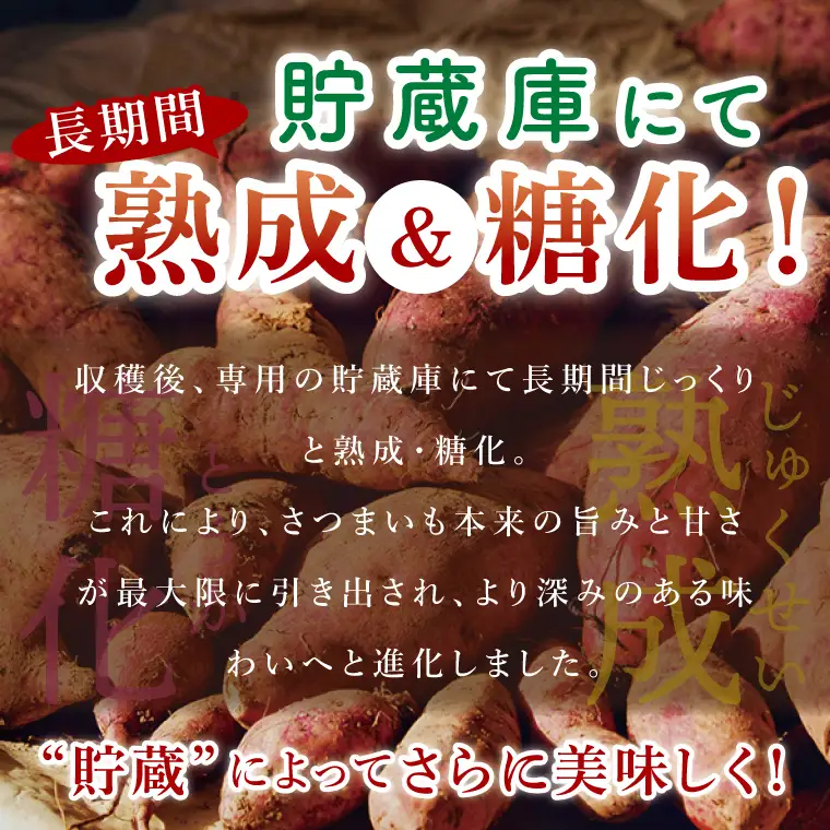 【先行予約】熟成さつまいも 栗かぐや 5kg【10月中旬より順次発送予定】｜茨城県 大子町 サツマイモ 芋 甘い ホクホク 野菜 数量限定 秋 旬 産地直送（CH004）