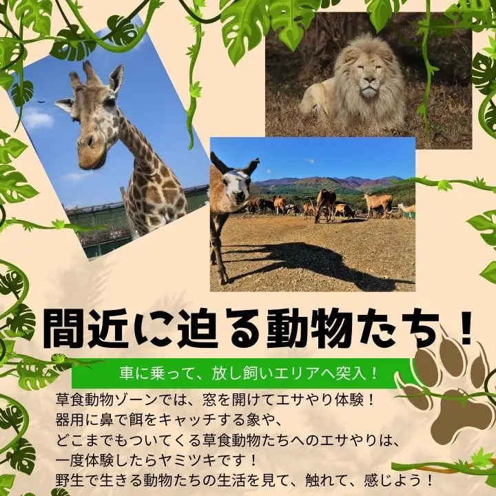東北サファリパーク入園チケット 大人2名＋小人1名（ 入園チケット＋草食動物のエサ）【株式会社東北サファリパーク】