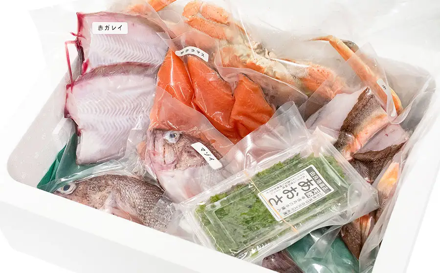 A51-252　 庄内浜鮮魚セット(下処理済み)４～６種類