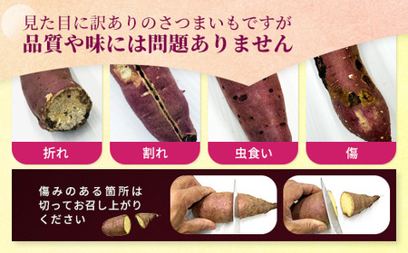【ふるなびWEEK対象】【訳あり】生芋10kg　SSサイズ～2Lサイズ（サイズバラ） ※離島への配送不可 ※2025年12月下旬頃より順次発送予定