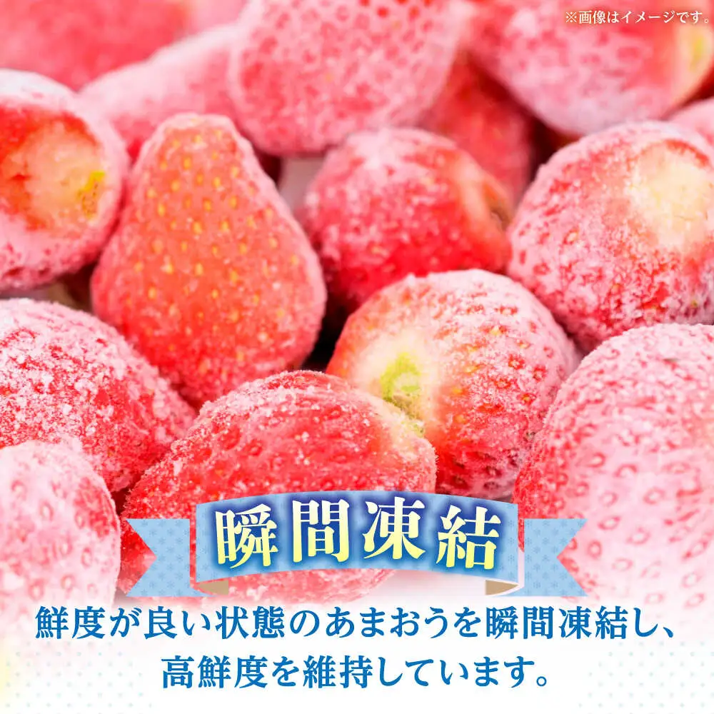 冷凍あまおう 500g（250g×2個）[ABEB025] いちご 果物 [ABEB025]