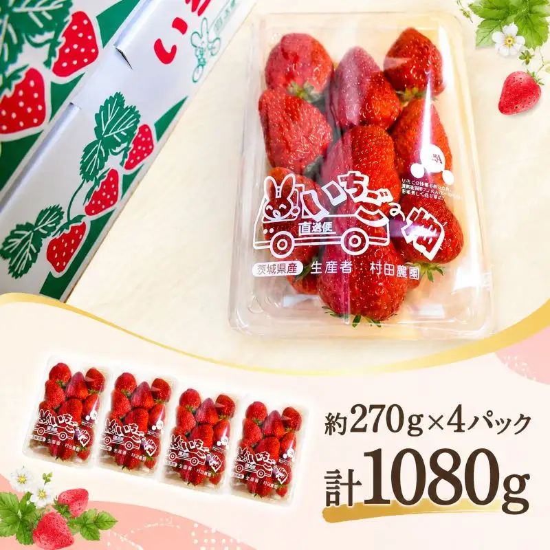【2027年3月発送】 いちご 紅ほっぺ 計1080g 約270g×4パック いちご