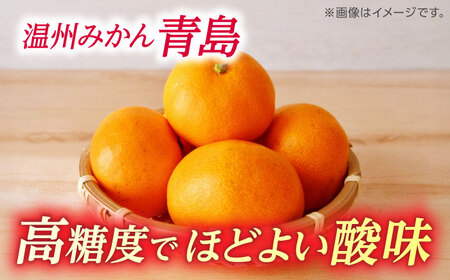 【先行予約】 訳あり 温州みかん 『青島』 約5kg S~Lサイズ 【奥村果実園】[ZFK001]