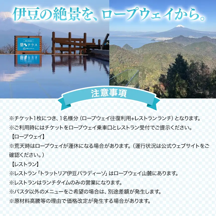 伊豆パノラマパーク　ロープウェイ往復チケット+レストランセット（１名様分）
