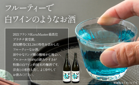 【６回定期便】純米吟醸いとをかし 720ml×2本 - お酒 さけ 酒 日本酒 米 飲み物 飲料 アルコール 晩酌 フルーティー 特産品 ギフト 贈り物 贈答用 プレゼント お酒好き 記念日 お礼 御礼 お祝い 高知県 香南市 Wgs-0182