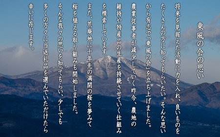 米 東風の里 コシヒカリ 10kg×3回 【3ヶ月定期便】 令和8年産 特A地一等米 東風の会 2026年11月上旬頃から順次発送予定 お米 こしひかり 信州 長野県 飯綱町 [1913]