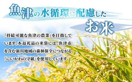 ＼農家直送／【令和6年産】【白米】【精米】おすすめのお米食べ比べセット 魚津産コシヒカリ5kgと魚津産ミルキークイーン5kg（合計10kg）｜新米 MK農産 白米 精米 銘柄米 ブランド米 ご飯 おにぎり お弁当 和食 主食 国産 ※北海道・沖縄・離島への配送不可
