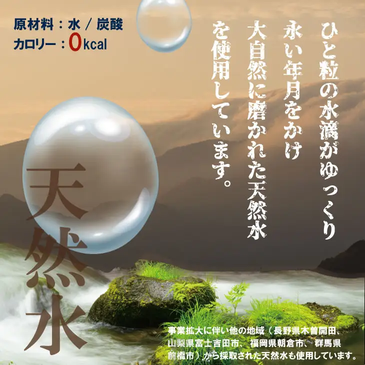 強炭酸水レモン 1,000ml×15本 炭酸 飲料 A060-009